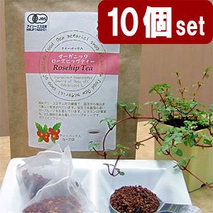セール：※20%OFF オーガニック ローズヒップティー ティーパック入 10個セット 4g&times;250包