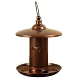 New England Patriots Bird Bath Feeder