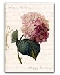 Hortensia Combo 1 - Happy Birthday Script - 5" x 7" Vellum Overlay Birthday Greeting Card