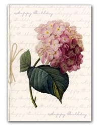 Hortensia Combo 1 - Happy Birthday Script - 5" x 7" Vellum Overlay Birthday Greeting Card