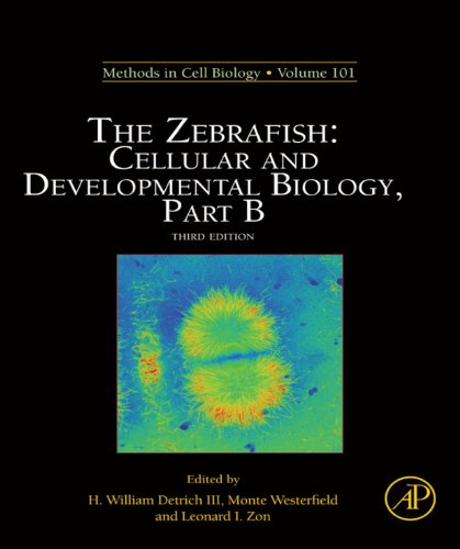 The Zebrafish: Cellular and Developmental Biology, Part B: Cellular and Developmental Biology, Part B: 134 (Methods in Cell Biology)