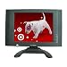 Skyworth SLC-1551A 15-Inch Active Matrix TFT LCD TV/DVD Combination