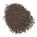 Lapsang Souchong, Gourmet Black Tea by Paper Street Teas - 4oz.