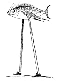 A Classic Collection Of Childrens Books By Edward Lear - The Complete Illustrated Collection Of Nonsense - 7 Books In One