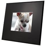 TAO 8-Inch 256MB Digital Frame (Black Glass)