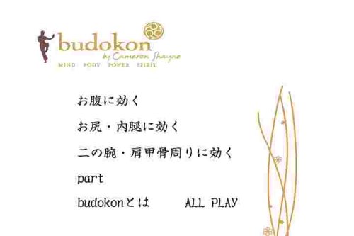 budokon-武道魂- 其の壱 初級編 [DVD]