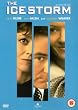 The Ice Storm [DVD] [1998]