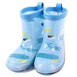 山口福祉文化大