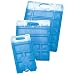 Campingaz Freeze Pack M 20 (Inhalt 800 g), Gr��e M, Einzelst�ck