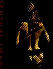 Sensual Images: International Collection of Erotic Photography