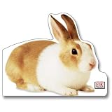 Bunny (Jumbo Animal Shaped Board Books) ~ Nicola Deschamps