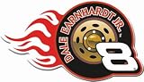 Dale Earnhardt Jr. Driver Fan Hat Pin