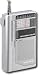 Electronics : Grundig Mini 100PE - Personal radio - titanium silver