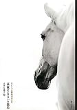 華麗なるフランス競馬 ロンシャン競馬栄光の日 華麗なるフランス競馬 ロンシャン競馬栄光の日