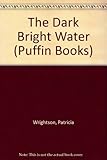 The dark bright water