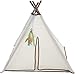 SmartyKat Kitty Camp Cat Tent and Feather Toy