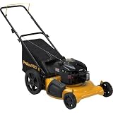 Poulan Pro PR550N21RH 21-Inch 190cc Briggs and Stratton 625 Series Gas Powered Side... by Poulan
