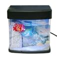 USB Mini Fish Tank with Colorful Light