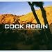 Cock Robin - I Don't Want to Save the World