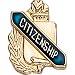 Lapel Pins (10-Pack): Scholastic Award Pin - Citizenship