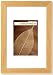 Confronta prezzi Walther TA440P Natura Cornice in legno di faggio, 40 x 40 cm