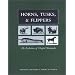 Vertebrate & Invertebrate Palaeontology