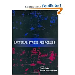 Bacterial Stress Responses