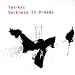 Yas-Kaz-Darkness in Dream
