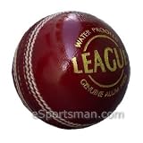 SG League leather Cricket Ball