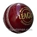 SG League leather Cricket Ball