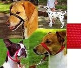 Gentle Leader Headcollar - Red Medium