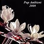 Pop Ambient 2009