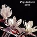 Pop Ambient 2009