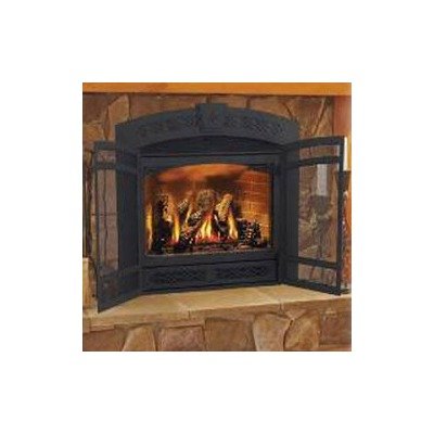 41JXRq8Ac5L Fireplace Faceplate with Screen Doors Finish: Painted Black