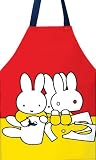 Review Shreds  / Miffy Orange PVC Apron (Large)