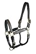 Gatsby Padded Leather Halter Fully Adjustable Gatsby Padded Leather Halter Fully Adjustable