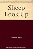 The sheep look up