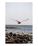 And he is before all things, and by him all things consist: Colossians 1:17 Animals Photographic Poster Print by Margie M. Mason, 16x20