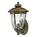 Westinghouse 69550 Takona Park Two-Light Exterior Wall Lantern, Florentine Bronze with Clear Crystal Ribbed Globe
