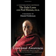Emotional Awareness: Overcoming the Obstacles to Psychological Balance and Compassion: A Conversation Between the Dalai Lama and Paul Ekman