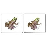 Amphibians Matching Cards ~ Maitri Learning