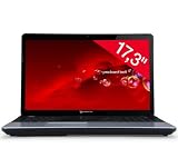 Packard Bell EasyNote_LE11BZ-11204G50Mnks NLED17.3 WXGA+G Ordinateur portable 17,3 Packard Bell EasyNote_LE11BZ-11204G50Mnks NLED17.3 WXGA+G Ordinateur portable 17,3