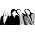 Thumbnail image of Smashing Pumpkins