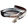 Lola & Foxy Foxy Blue and Brown Stripes Dog Collar, 3/4" Wide, Medium (10"-16" Neck Size)