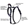 Bamboo Quick Control Harness with Built-In Leash Medium, Black