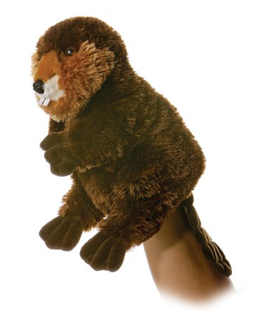 Childrens Toyshop  Toys : Plush Builder Beaver Body Puppet 12"