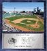 Fenway Park (Boston Red Sox) 12