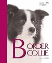 Best Breed Border Collie - an Experts Guide