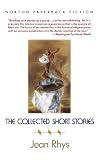 The Collected Short Stories (Norton Paperback Fiction)