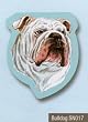 Bulldog Sticky Notes Notebook